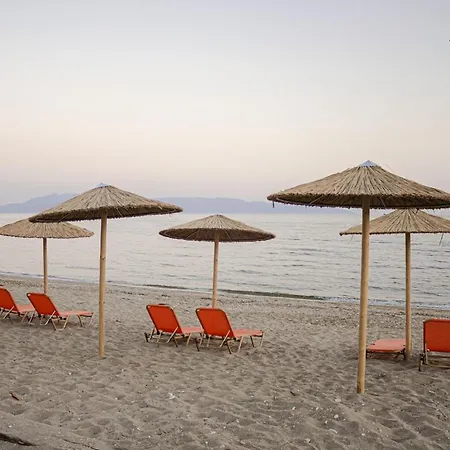 Crystal View - Elsa's