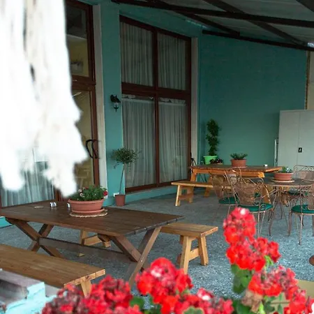 Crystal View - Elsa's