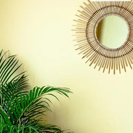 Crystal View - Elsa's *