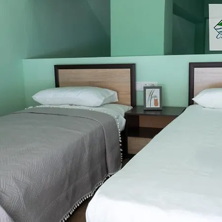 Crystal View - Elsa's